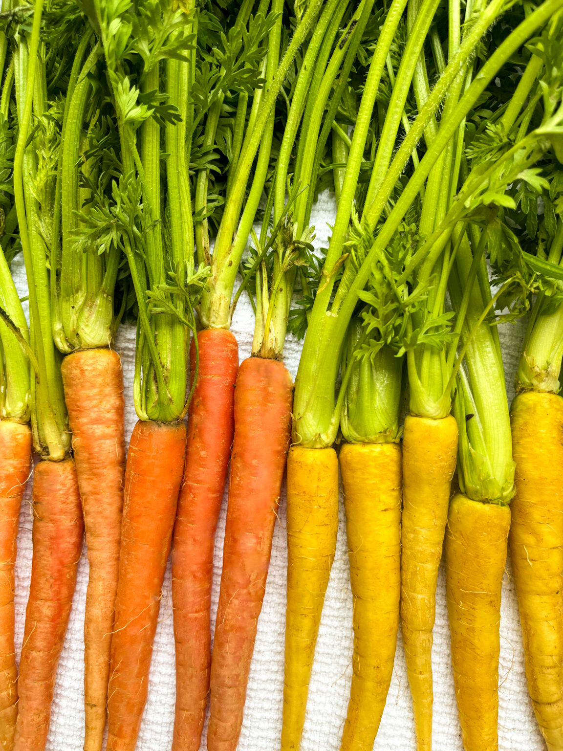 Carrots 4 1152x1536 1