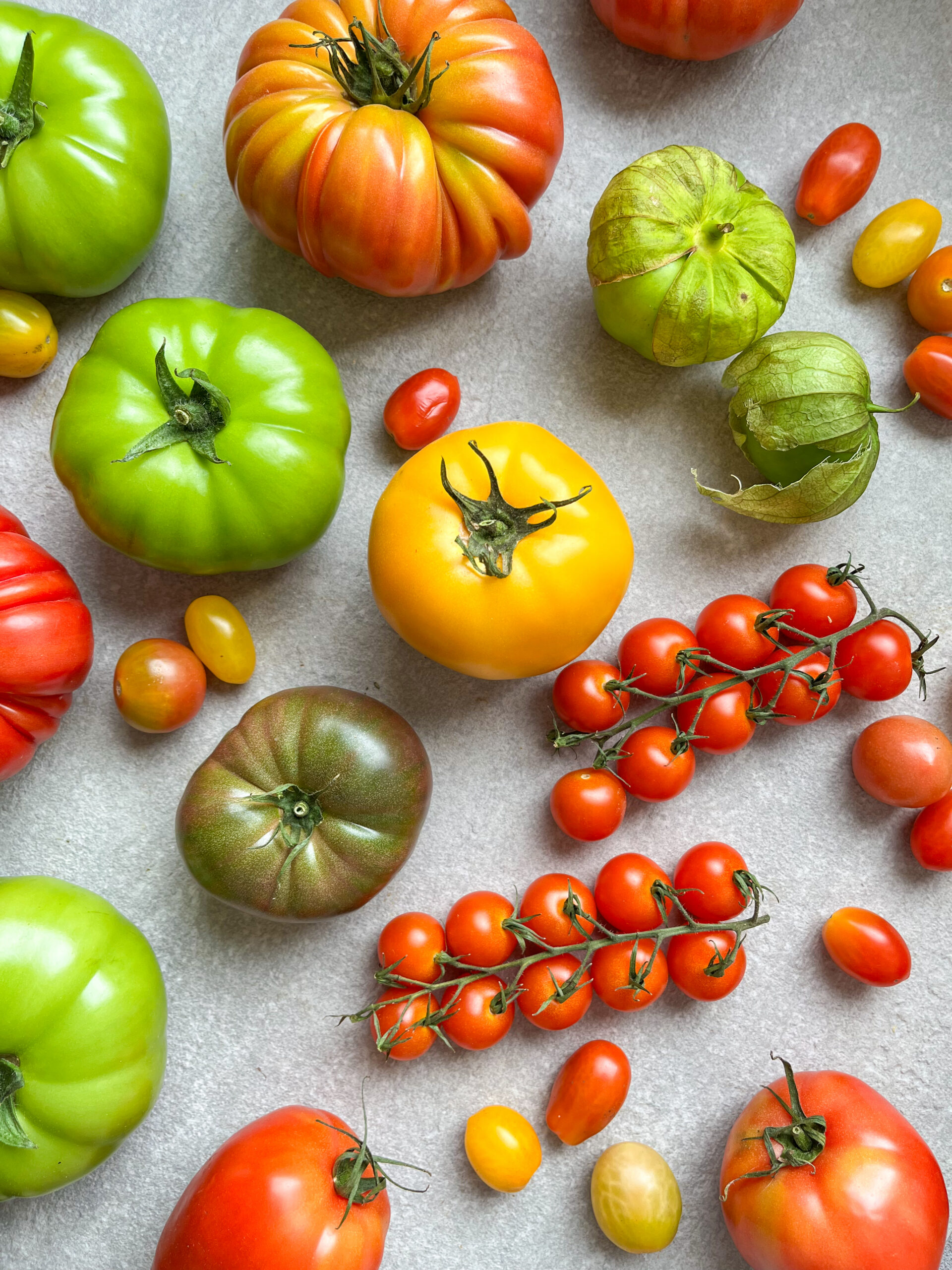 Tomatoes 3 scaled