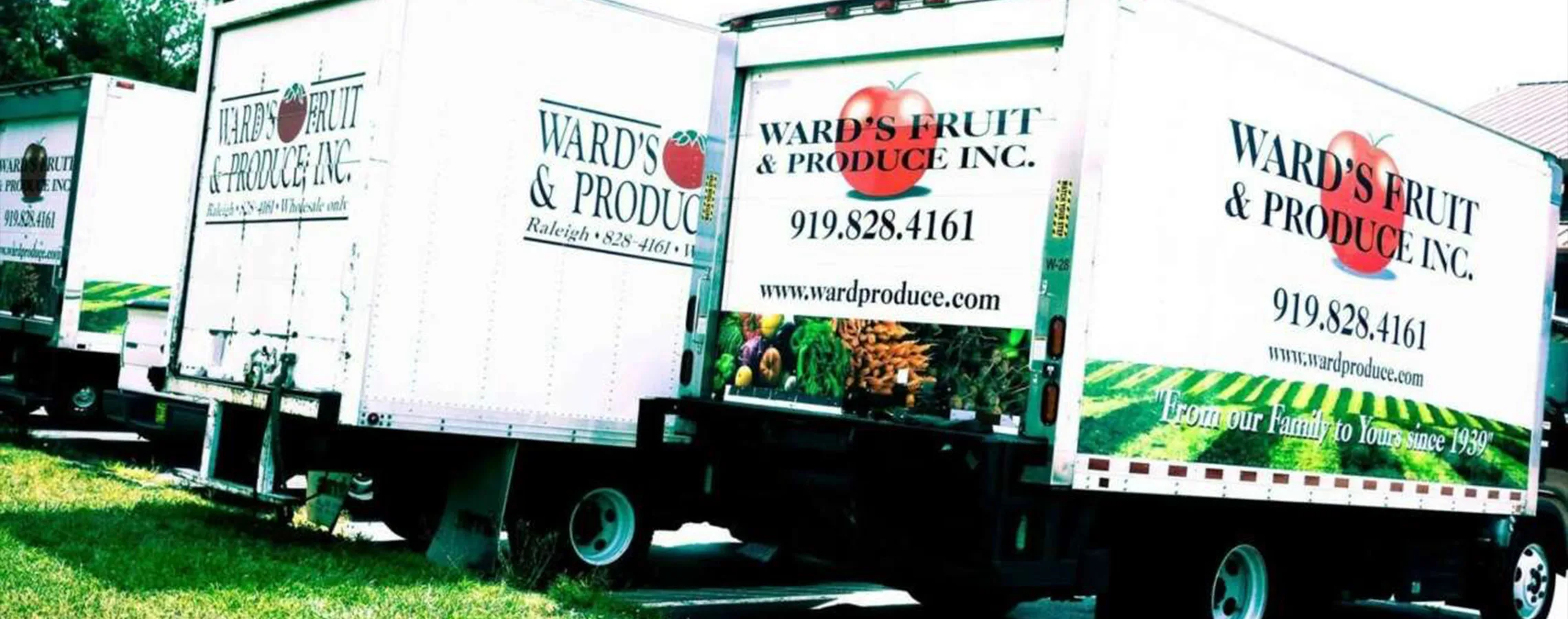 wards 1991 jpg