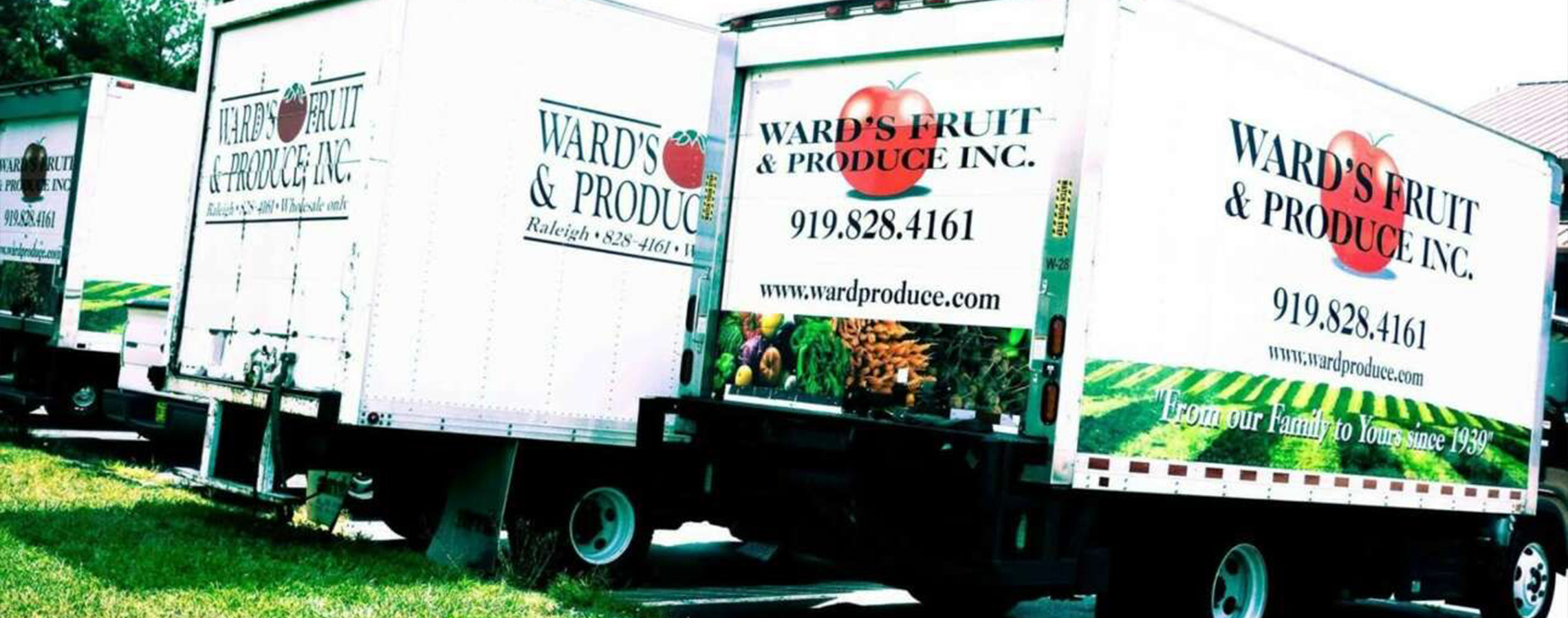 wards 1991